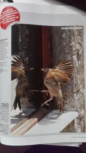  Better Photography June 2015