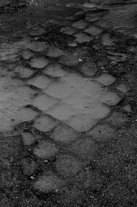 httpwww.theguardian.comartanddesigngallery2015aug07readers-photos-on-the-theme-of-trace#img-10