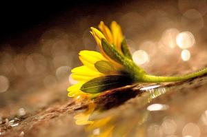 The Hindu 22Aug 2011