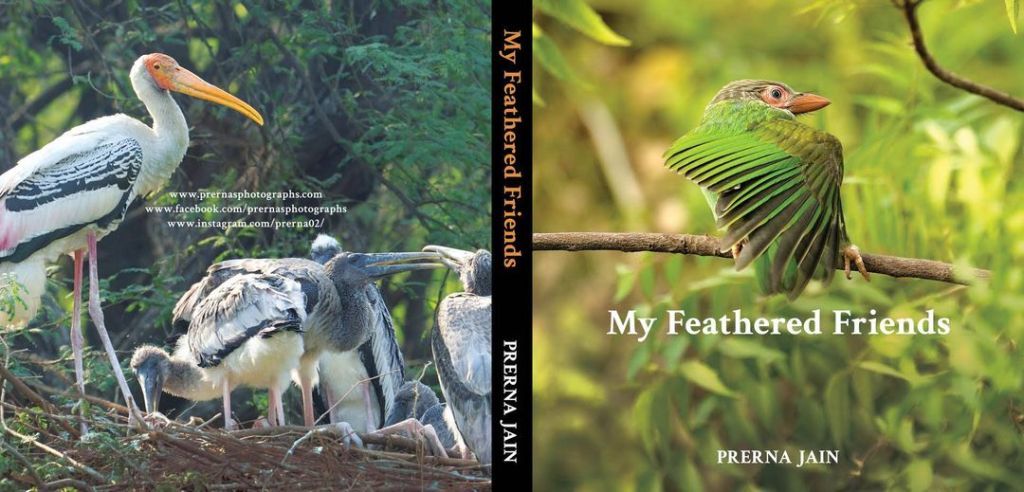 My Feathered Friends.