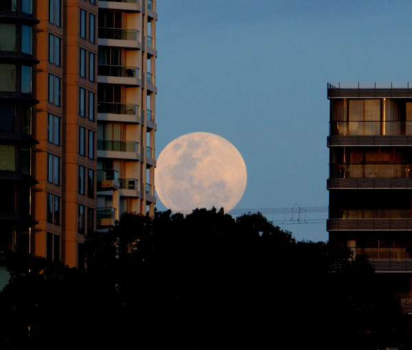 One of 116 nights of the&nbsp;Moon…