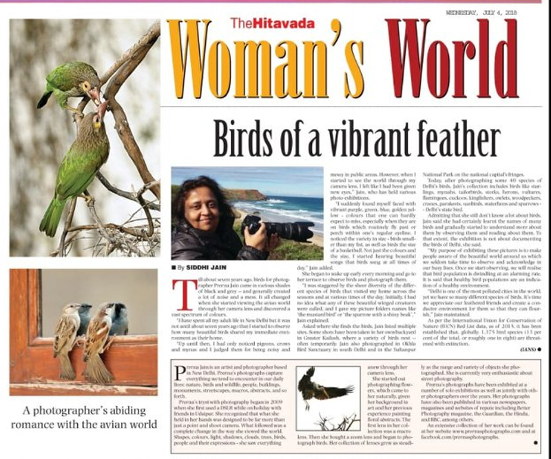 Birds In the&nbsp;News