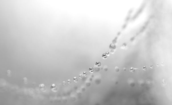 Macro Photography: As Close As You Can&nbsp;Get