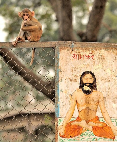 Yoga Day: Reintegrate with&nbsp;Nature