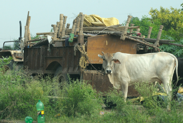 Govardhan Girdhari, Please Save Us From the Fury of&nbsp;Indradev…
